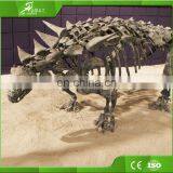 KAWAH Life Size Museum Exhibition Fiberglass 5M Dinosaur Skeleton Fossils thumbnail-6
