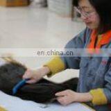 Qingdao Longxinbaodian Hair Product Co., Ltd. company overview - view 3 thumbnail