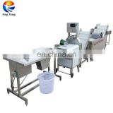 Industrial Automatic High Quality Continuous Vegetable Cutter Washer Line