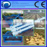 Potato Digger for the Tractor/sweet Potato Digger for Sale 0086-13676938131 thumbnail-2