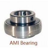 AMI Bearings