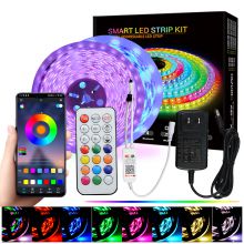 Customized 5050 Rgb LED Light Strip Set WS2811 RGBIC 21key Infrared Music smart control LED strip kit