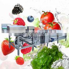 Industrial High Efficiency Cabbage Tomato Spinach Vegetable Elevator Washer Machine Fruit Wash Unit For Sale