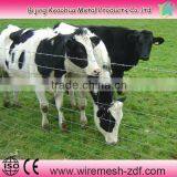 ISO9001 Galvanized Cattle Mesh Fence