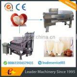 Leader Stainless Steel Litchi Fruit Juice Production Line With CE & ISO thumbnail-1
