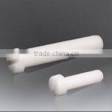 Plastic Screw DIN EN ISO 1207(DIN 84) BK1.0001 thumbnail-1