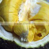 Fresh Durian - Best quality and Price - From VietNam