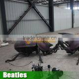 Insect Model Beatles for Sale thumbnail-1