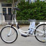Wheel Electric Bicycle