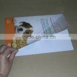 Custom Made L Shape A4 Size pp File Folder, Color Printing Plastic File Folder