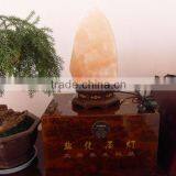 Pink Himalayan Salt Lamp thumbnail-1