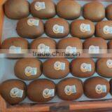 Yellow Heart Fresh Kiwi thumbnail-2