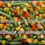 Canned Food Mixed Vegetable With Lowest Price