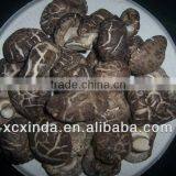 2015 Export Shiitake Mushroom ,Best Nutrition Flower Mushroom thumbnail-1