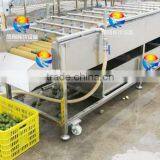 China Industrial Automatic Orange and Citrus Washing Machine thumbnail-3