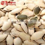 Roasted Shine Skin Pumpkin Seeds thumbnail-2