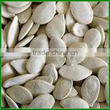 Chinese Raw or Roasted Snow white Pumpkin Seeds with Great Taste For Sale