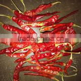 High Quality Dry Chilly S4