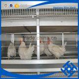 Wholesale Chicken Cage H Type Best Price Poultry Farm Egg Layer thumbnail-5