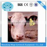 Livestock Industry Blank Ear Tag thumbnail-1