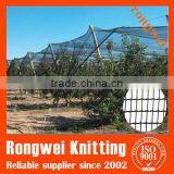 Anti Hail Protection Net/agricultural Anti Hail Netting/virgin Hdpe Anti Hail Net
