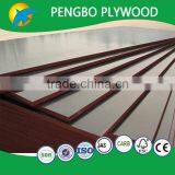 Bridge Plywood for Construction thumbnail-5