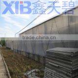 Larger Multi-span Glass Greenhouse thumbnail-1