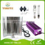 Grow Lights Item Type 600W Grow Light Kit thumbnail-1