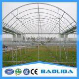 Agriculture Tunnel Plastic Tomato Commercial Greenhouse thumbnail-2