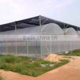 Small Size and PE Material Low Cost Greenhouse thumbnail-2