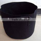 Resealable Plastic Bag for Plant Seed thumbnail-1