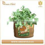 Green Field Round Jute Fabric Tomato Grow Bags thumbnail-3