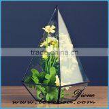 Decorative Indoor plant holder terrarium glass large