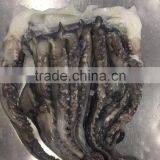 For BBQ 2-4 Kgs Frozen Giant Squid Tentacles thumbnail-3