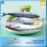 Wholesale Mackerel Frozen Foods thumbnail-4