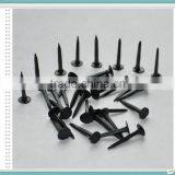 Five Star Shoe Tacks Nails/Fine Blue Shoe Tacks for Heel (factory) thumbnail-5