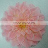 China Flowers thumbnail-1