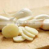 Garlic Dry Extract thumbnail-1