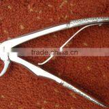 DENTAL FORCEPS thumbnail-1