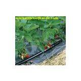 PE Drip Irrigation Pipe Machine thumbnail-1