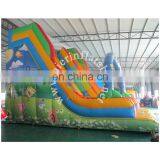 Hot Sale Inflatable Water Slide With Pool thumbnail-2