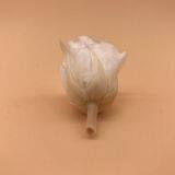 Timeless Moments Flowers Preservation for Anniversary Decoration thumbnail-3