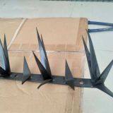 Security Middle Wall Spike / Fencing Razor Spikes thumbnail-2