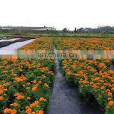 High Quality Polyethylene Garden Weed Control Planting Mat thumbnail-3