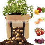 Greenhouse Grow Bag Felt Garden Potato Vegetable thumbnail-5