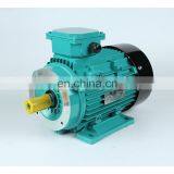 YS AC MOTOR 37KW 50HP Aluminum House Three Phase Electric Motor thumbnail-2