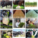 Barley Seeds Fodder Sprout Machine / Hydroponic Wheat Poultry Feed Green Fooder Sprouting System Machine thumbnail-3
