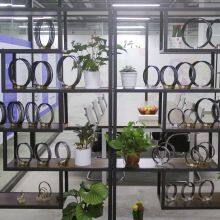 Skywel Machinery Co.,ltd company overview - view 3 thumbnail