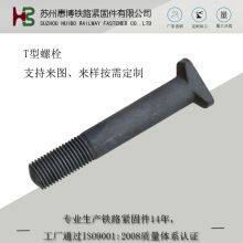 T-bolt T Head Bolts / T-Slot Bolts C1 S1 Clip Rail Nabla Fastening System For KS12 Tie Plate SKL12 Hs32 M22x55 65 M22x156 thumbnail-2