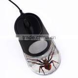 2016 Latest Computer Mouse With Real Insect Scorpion thumbnail-5